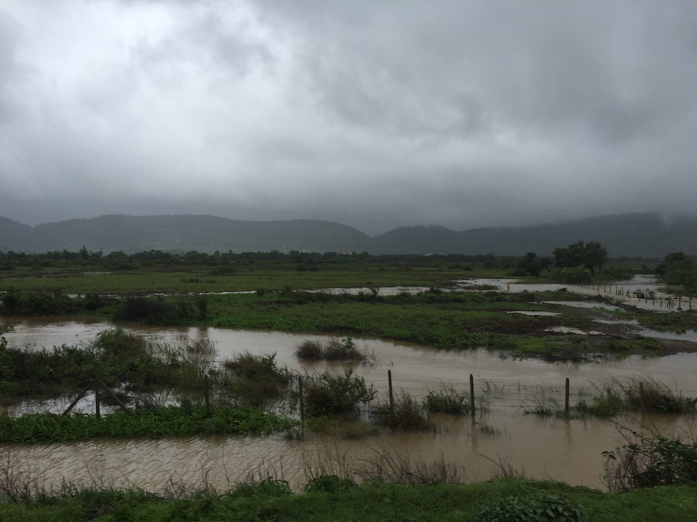 The view from the train between Mumbai and Pune